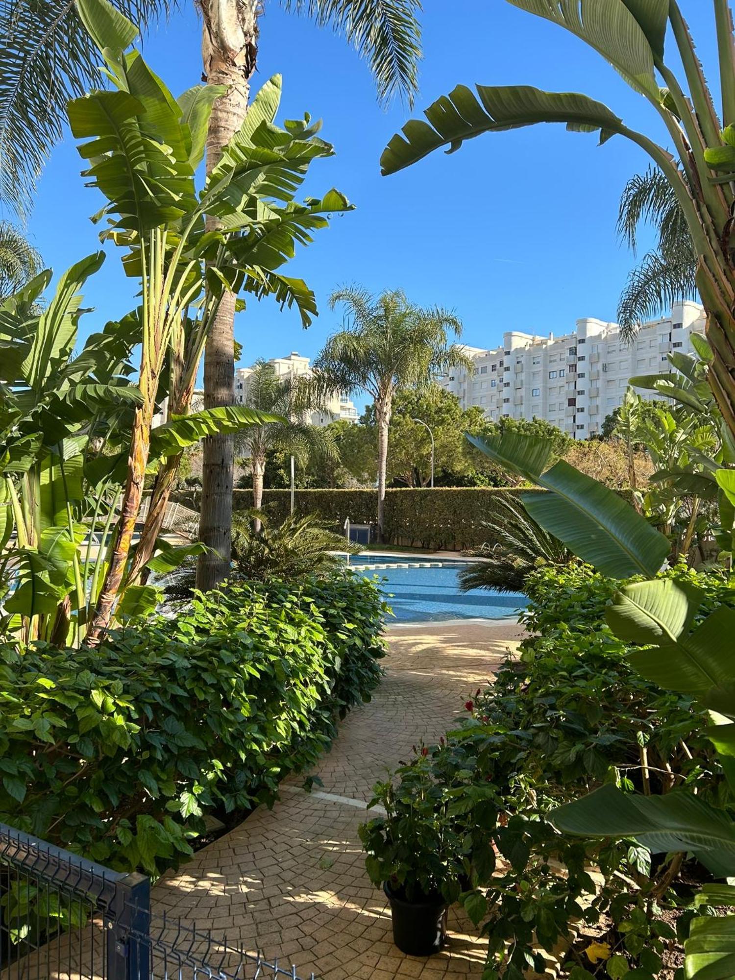 Appartement Margo El Eden Residencial Gandie